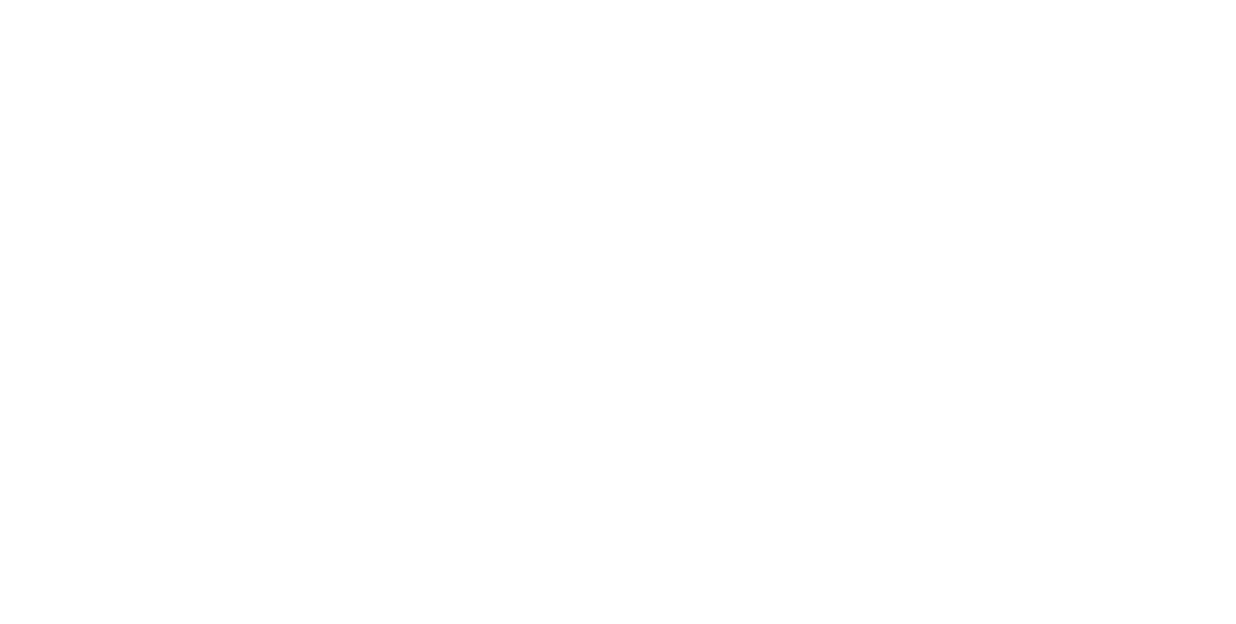 2013-2020 Ford Fusion outline illustration